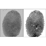 Image Segmentation Fuzzy MATLAB Code