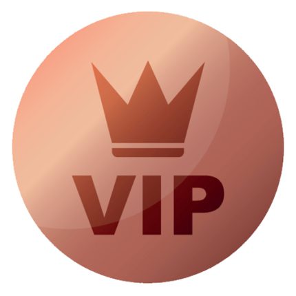bronze vip plan
